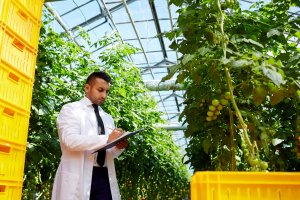 MBA EXECUTIVO EM GESTÃO DO AGRONEGÓCIO